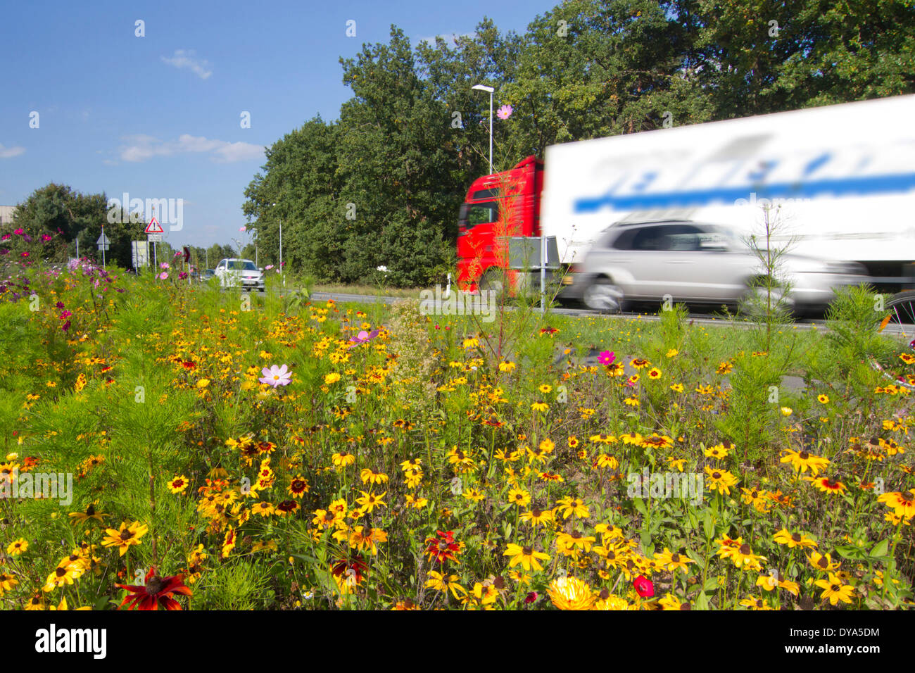 Greening, Straße, Verkehr, Blumen, Umwelt, LKW Stockfoto