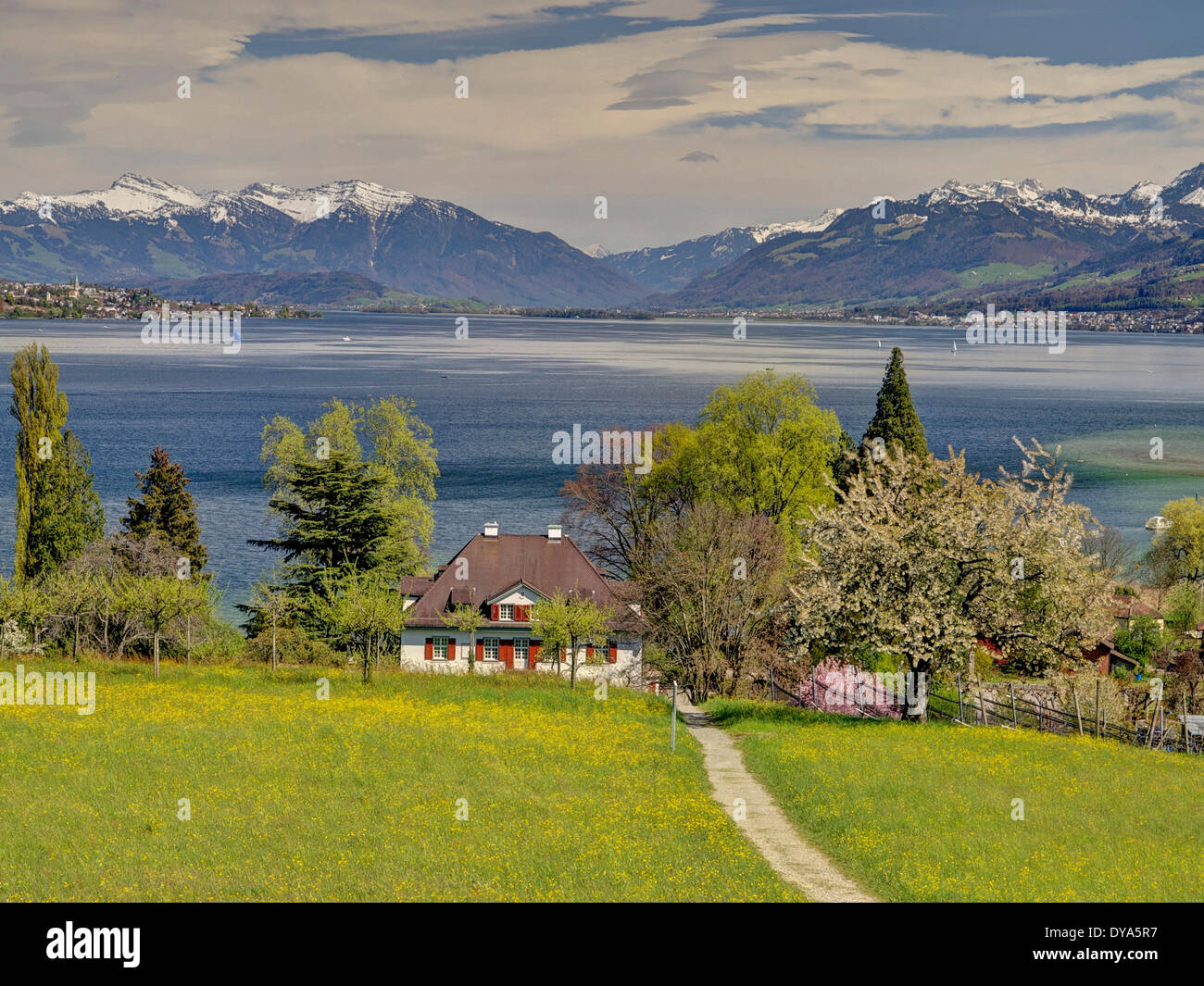 Schweiz Europa Kanton Zürich Alpen glich Forschungsinstitut Frühling Glarner Alpen Alpen grünen Halbinsel Au Weide Weinberg Stockfoto