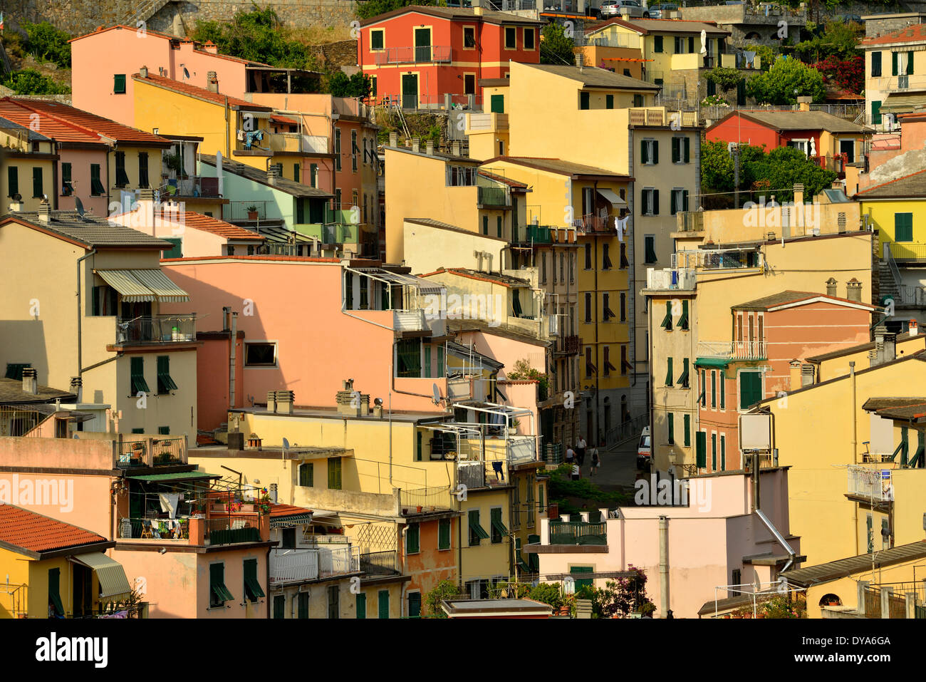 Europa Mittelmeer Riviera italienische Italien Cinque Terre Rio Maggiore Fenster Windows Reihenhäuser Wohnungen Wohnung Balkon b Stockfoto