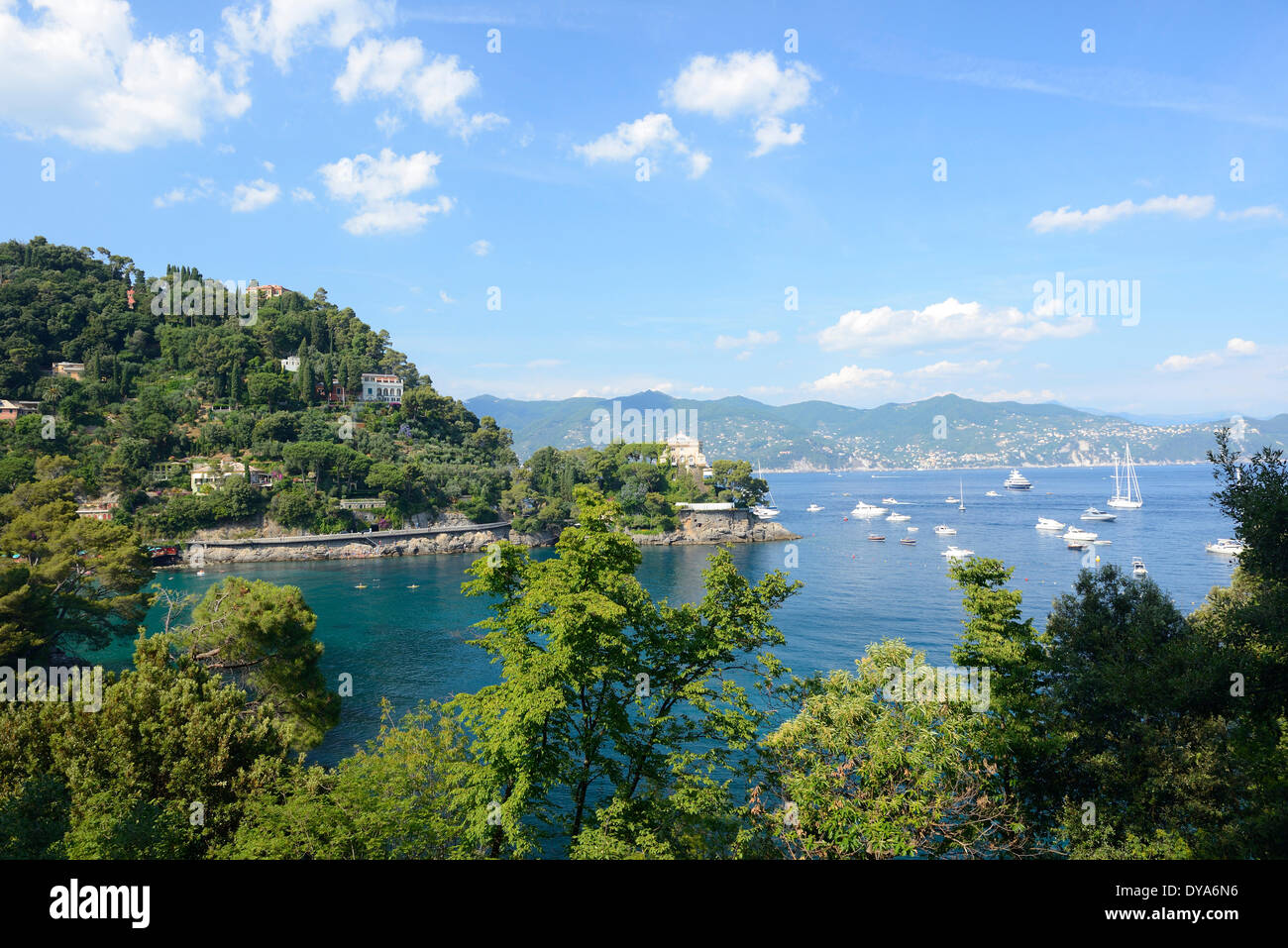 Italien, Riviera, Genua Provinz, Portofino, mediterran, Küste, Meer, Küste, Landschaft Stockfoto