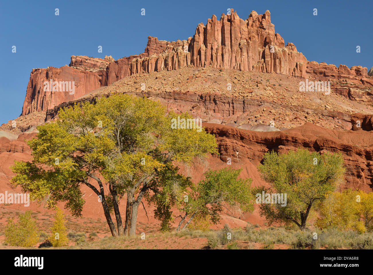 USA-Amerika-USA-Utah-Colorado-Plateau südlichen Capitol Reef National Park Schloss Sandstein Erosion Landschaft keine Pers. Stockfoto