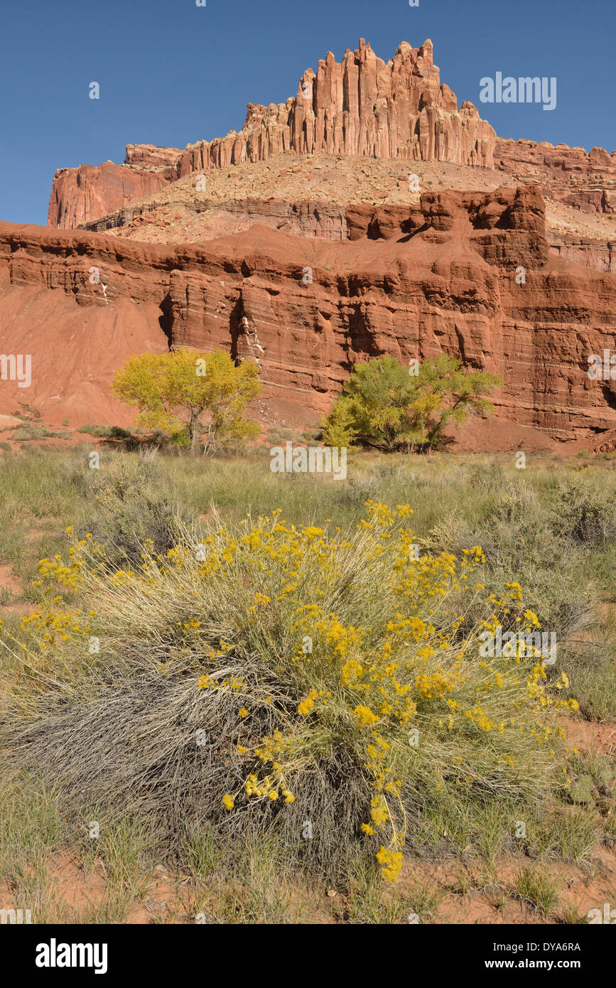 USA Amerika Vereinigte Staaten Utah Colorado Plateau südlichen Capitol Reef National Park Schloss Sandstein Wahrzeichen vertikal keine Pers. Stockfoto