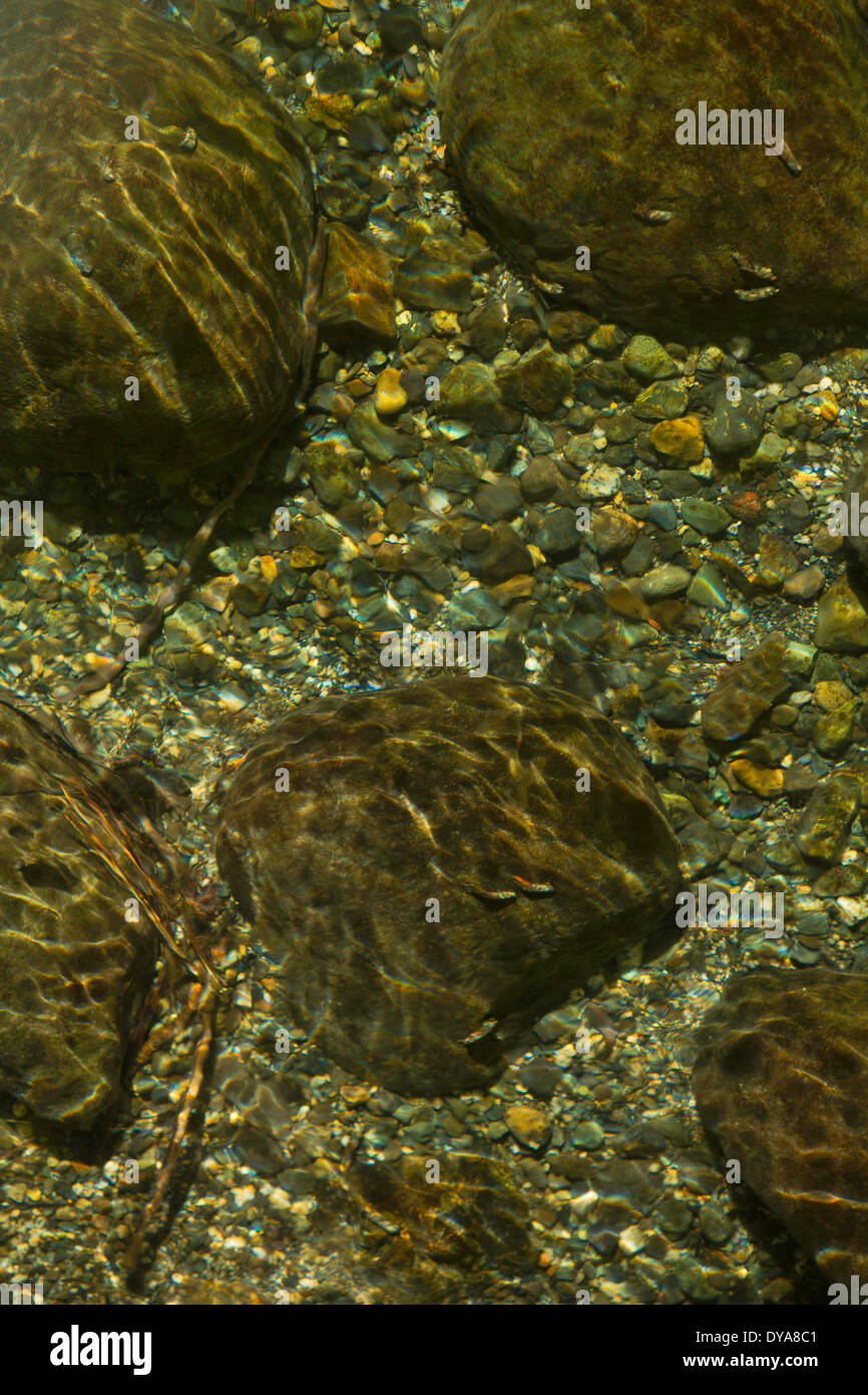 Stream Creek klar kristallklare Fische Jungfische sandig felsige Kiesel glänzend gefleckten Bachforelle streamen Wasser Oregon OR USA Stockfoto