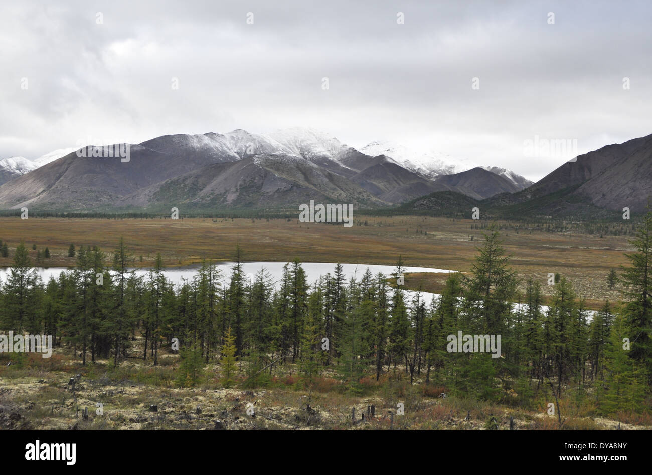 Herbstliche Tundra auf dem Hintergrund der Berge in Jakutien. Trübe Landschaft im Bereich Strecke "Kolyma", Yakutsk - Magadan. Russland. Stockfoto