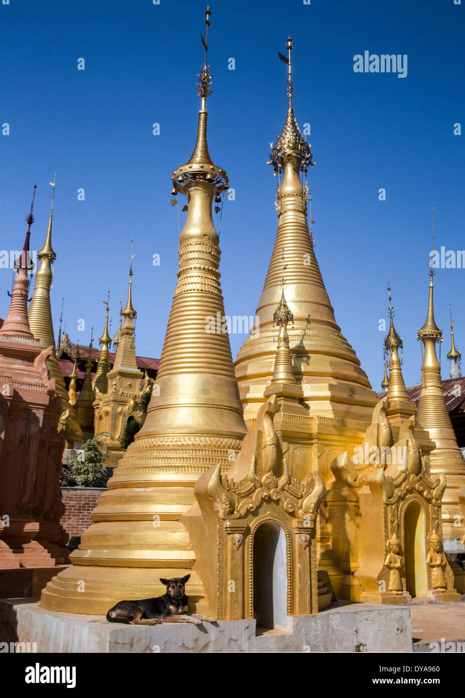 Indeinn Inle Myanmar Burma Asien golden Architektur bunte Hund exotische Reisen viele natürliche remote Stupas touristische Stockfoto