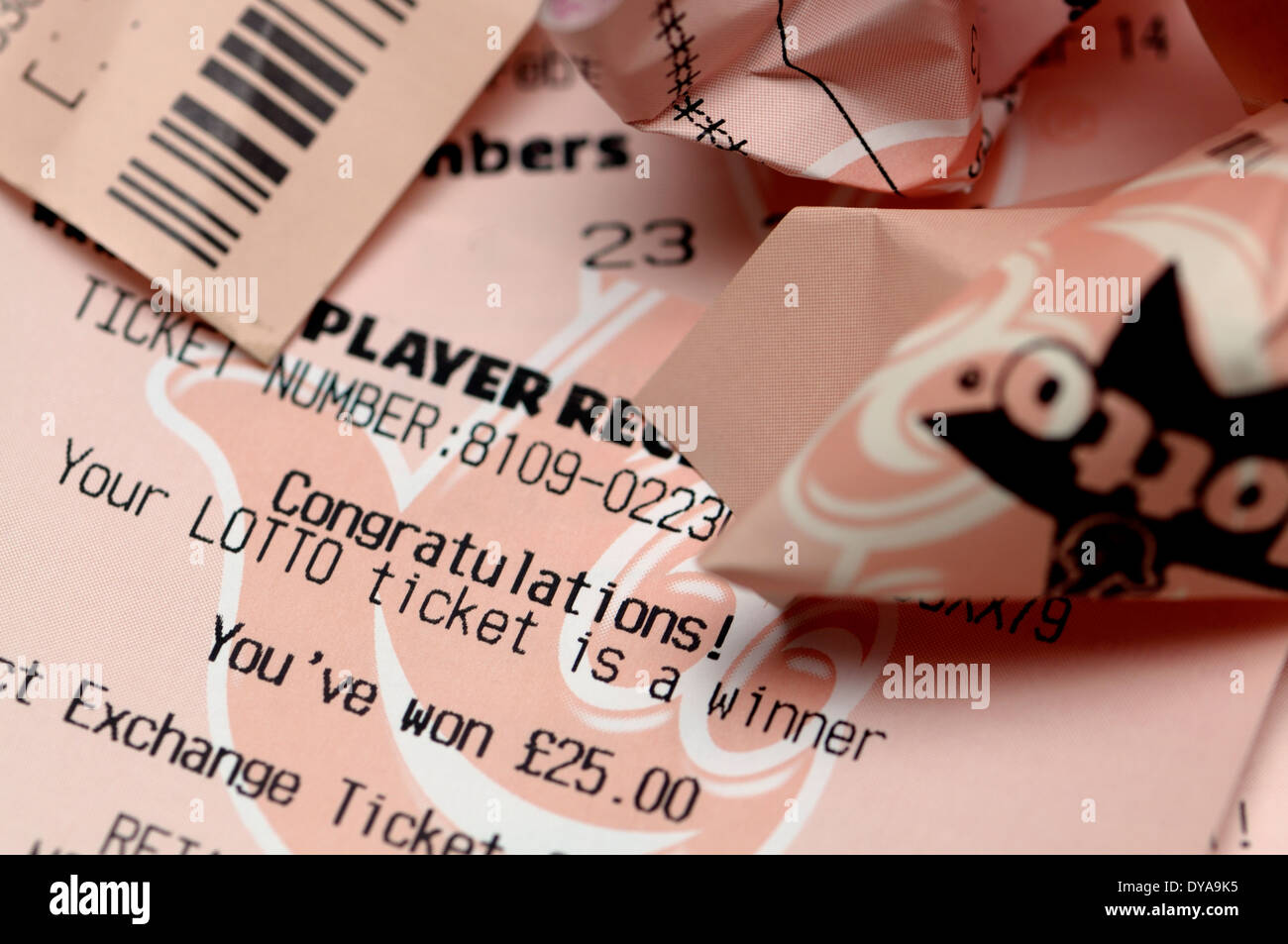 Britischen National Lottery - Empfang, Beratung von einem Sieg mit Scrumpled alten Karten Stockfoto