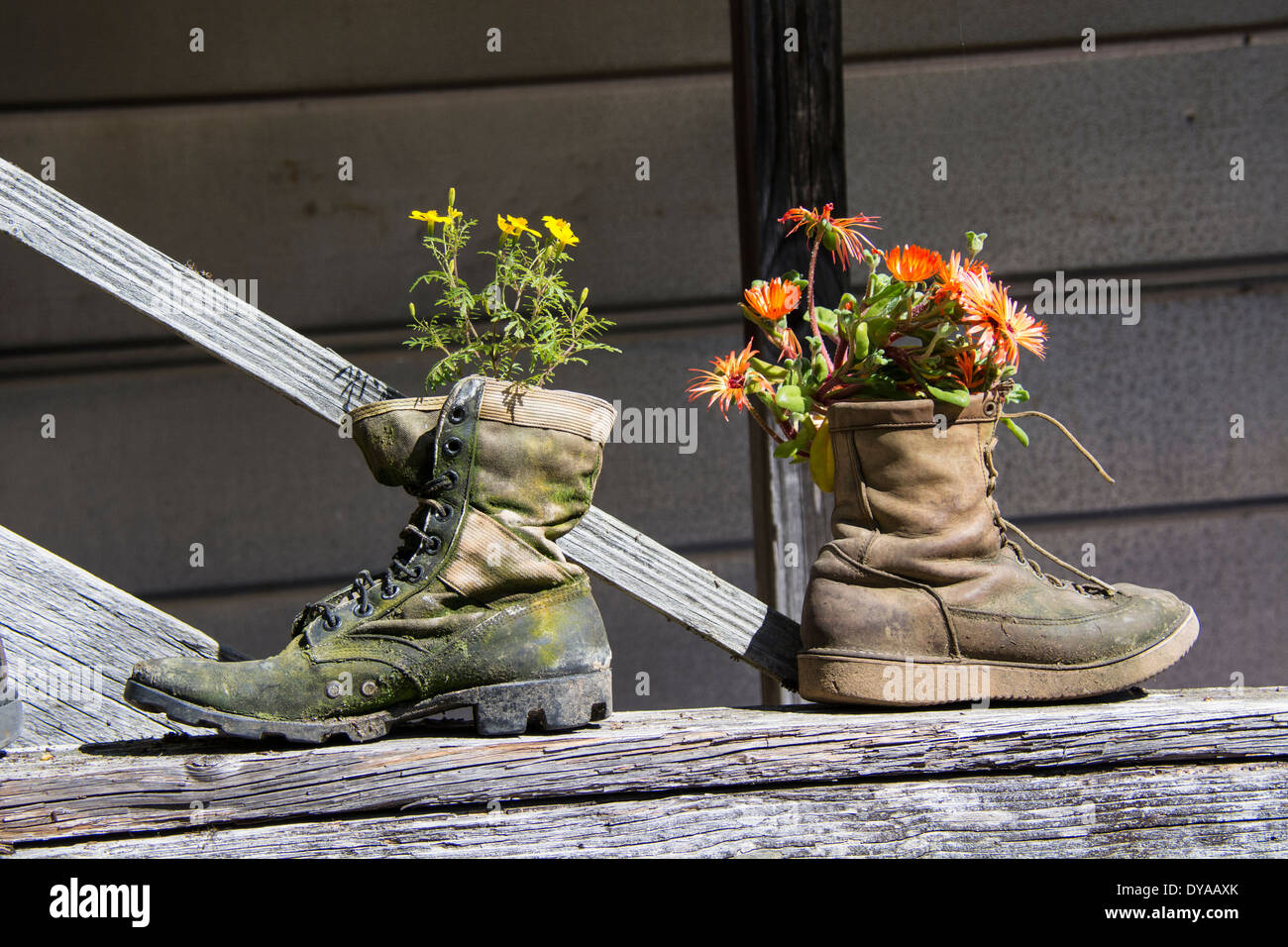 Zwei alte Stiefel als malerisch und ungewöhnliche Blumentöpfe verwendet. Upcycling, Upcycled, Upcycle oder Recycling im Garten. Stockfoto