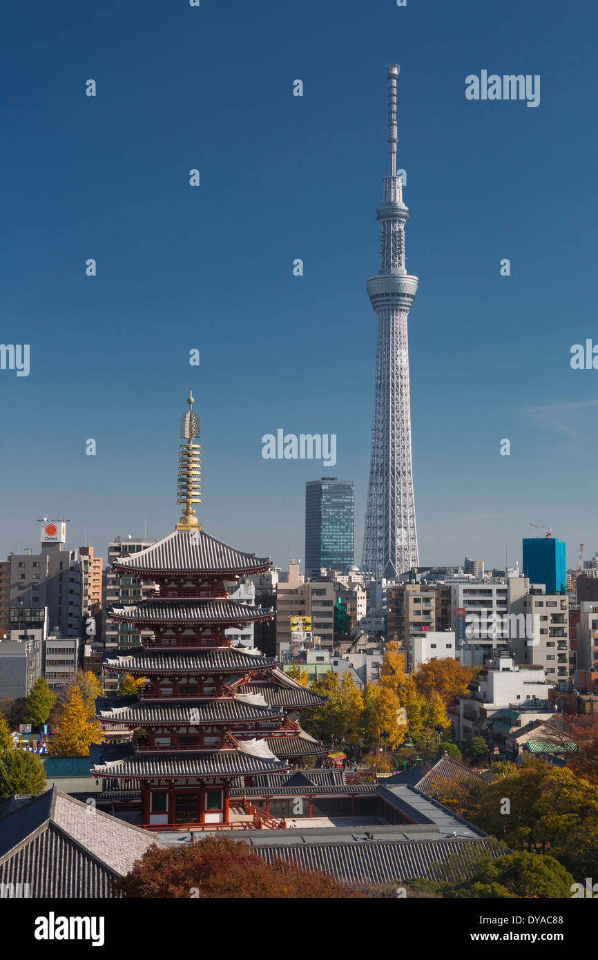 Japan Asia Tokyo City Asakusa Herbst Sensoji Architektur bunte Farben kontrastieren Park Himmel Baum Skyline Tempel zu bauen, Stockfoto