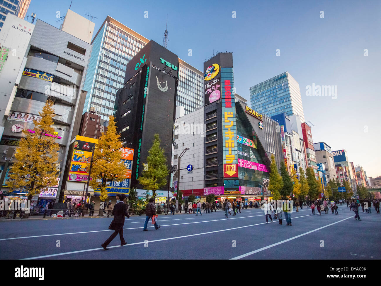 Japan Asia Tokio Akihabara Herbst Ave Chuo Bezirk Stadt elektrisches Licht Fußgänger shopping Abend Nacht touristische trav Stockfoto
