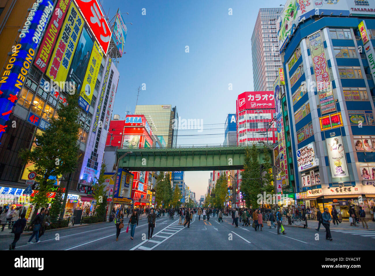Japan Asia Tokio Akihabara Herbst Ave Chuo Bezirk Stadt elektrisches Licht Fußgänger shopping Abend Nacht touristische trav Stockfoto