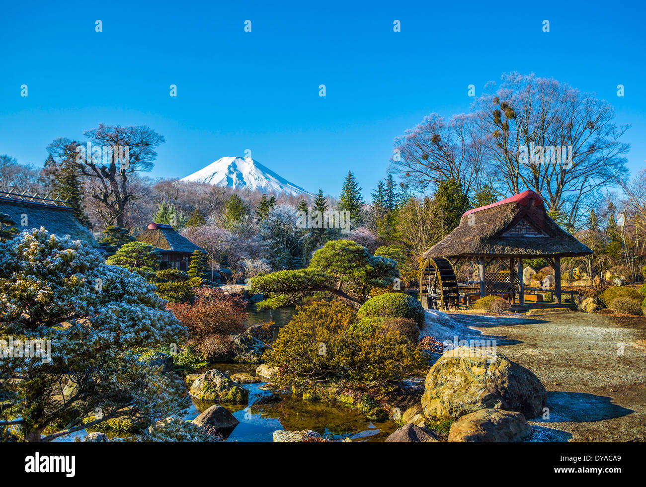 Japan Asia Mount Fuji klare bunte Herbstfarben frost Fuji Gartenlandschaft Mühle Berg Schnee Symbol touristische traditio Stockfoto