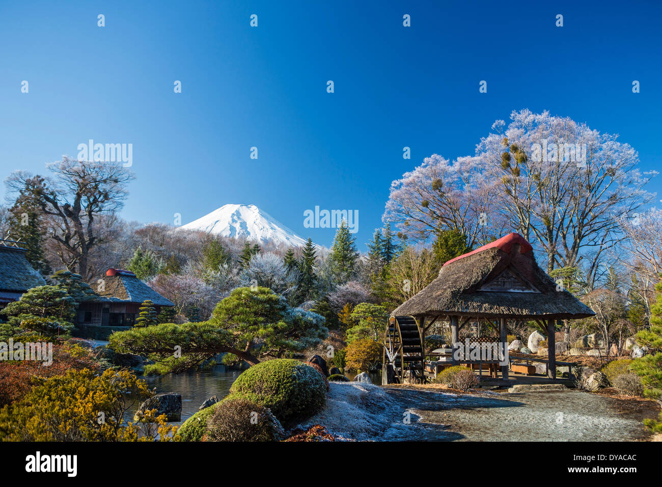 Japan Asia Mount Fuji klare bunte Herbstfarben frost Fuji Gartenlandschaft Mühle Berg Schnee Symbol touristische traditio Stockfoto