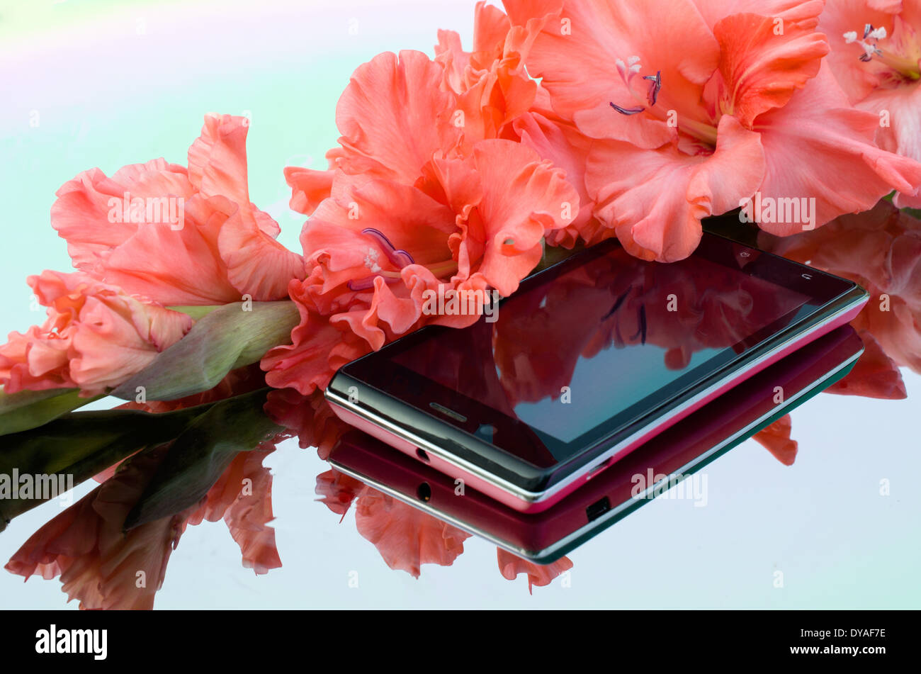 Handy und Gladiolen Stockfoto