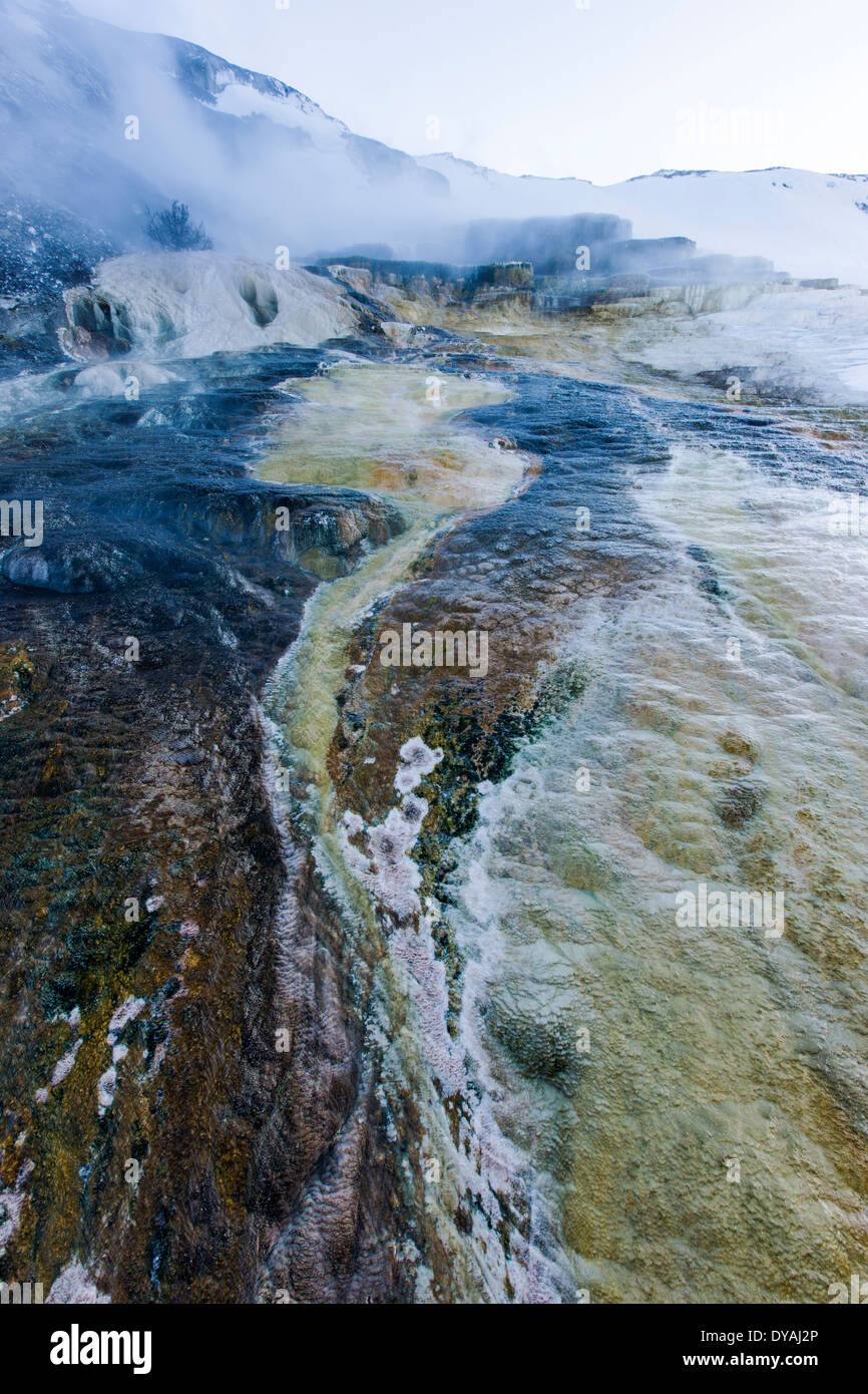 Hügel Terrasse, Mammoth Hot Springs, Yellowstone National Park, USA Stockfoto