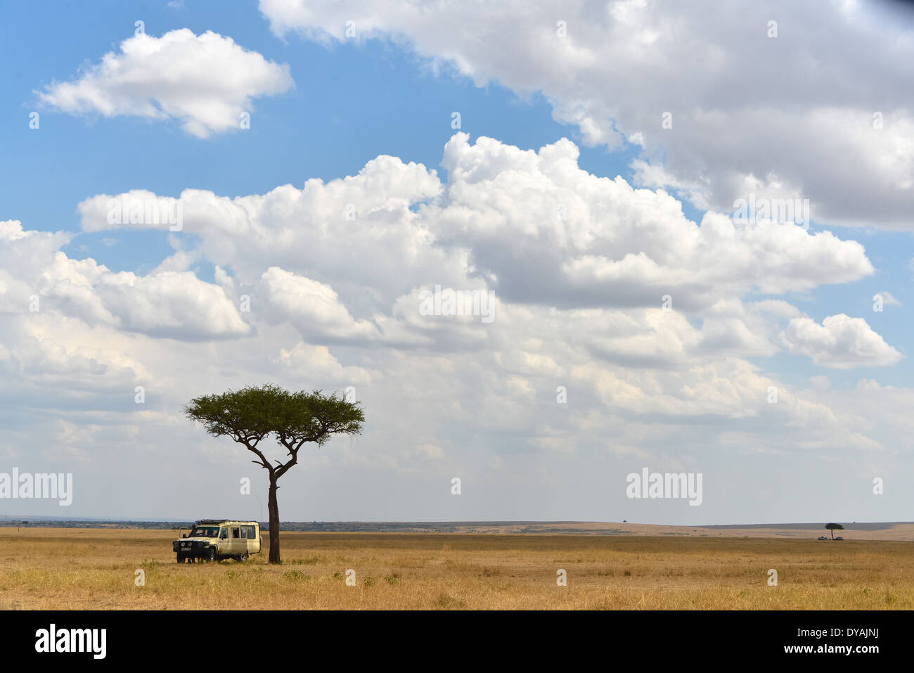 Trockene savannen savanne Fotos und Bildmaterial in hoher Auflösung