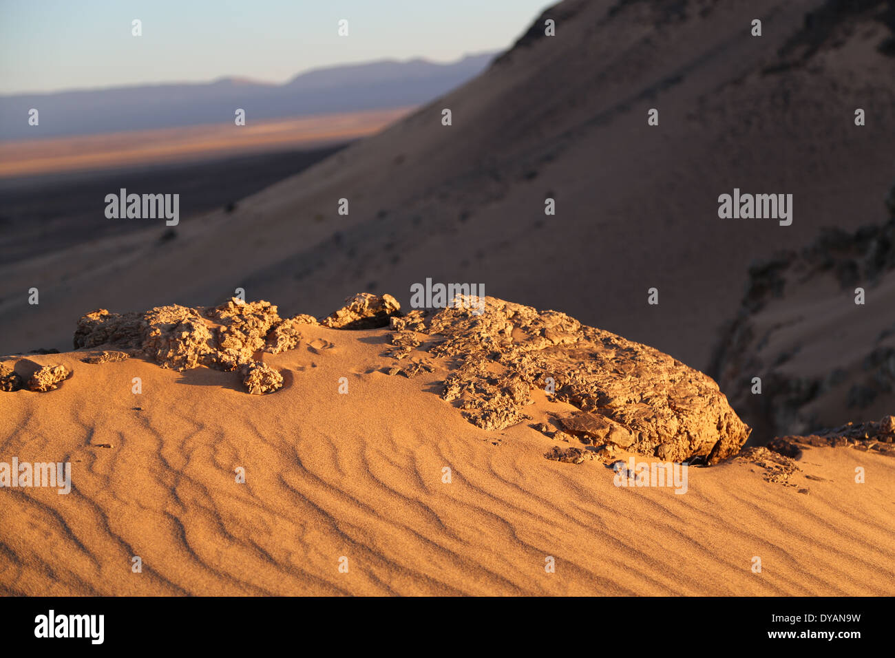 Schlangenförmige Windmuster auf dem Sand auf der Oberfläche eine hohe Sanddüne in der Wüste außerhalb der Atlas-Gebirge in Marokko Stockfoto