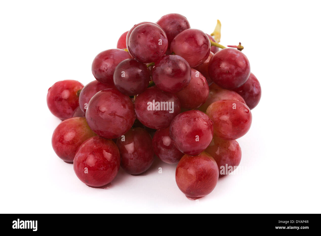 Frischen Weintrauben Stockfoto