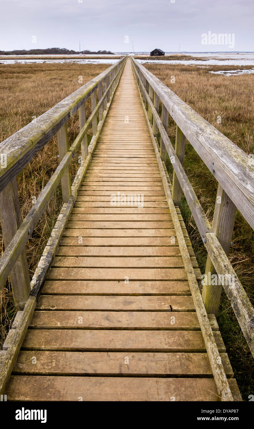 Board Walk auf Newtown National Nature Reserve, Isle of Wight, England, UK. Stockfoto