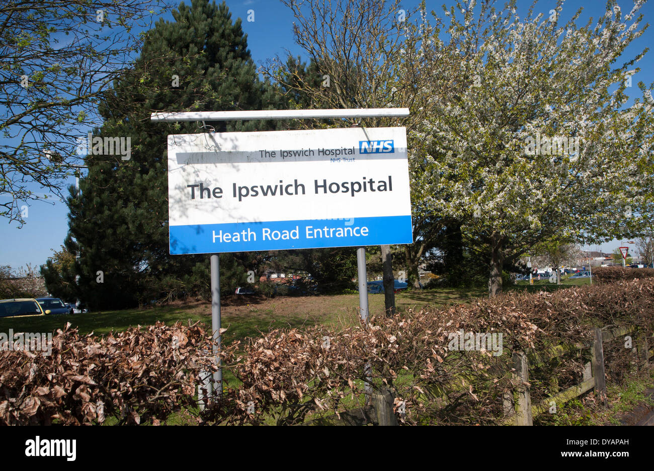 Melden Sie außen Ipswich Hospital NHS Trust, Ipswich, Suffolk, England Stockfoto