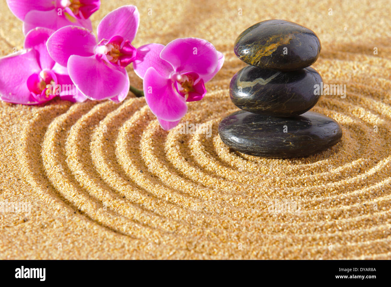 Japanischer ZEN-Garten im Sand mit gestapelten Steinen und Orchidee Blume Stockfoto