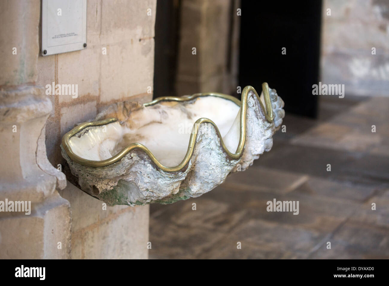 Riesenmuschel Austernschale als Weihwasser Schriftart - Cathédrale Saint-Pierre Saintes Stockfoto