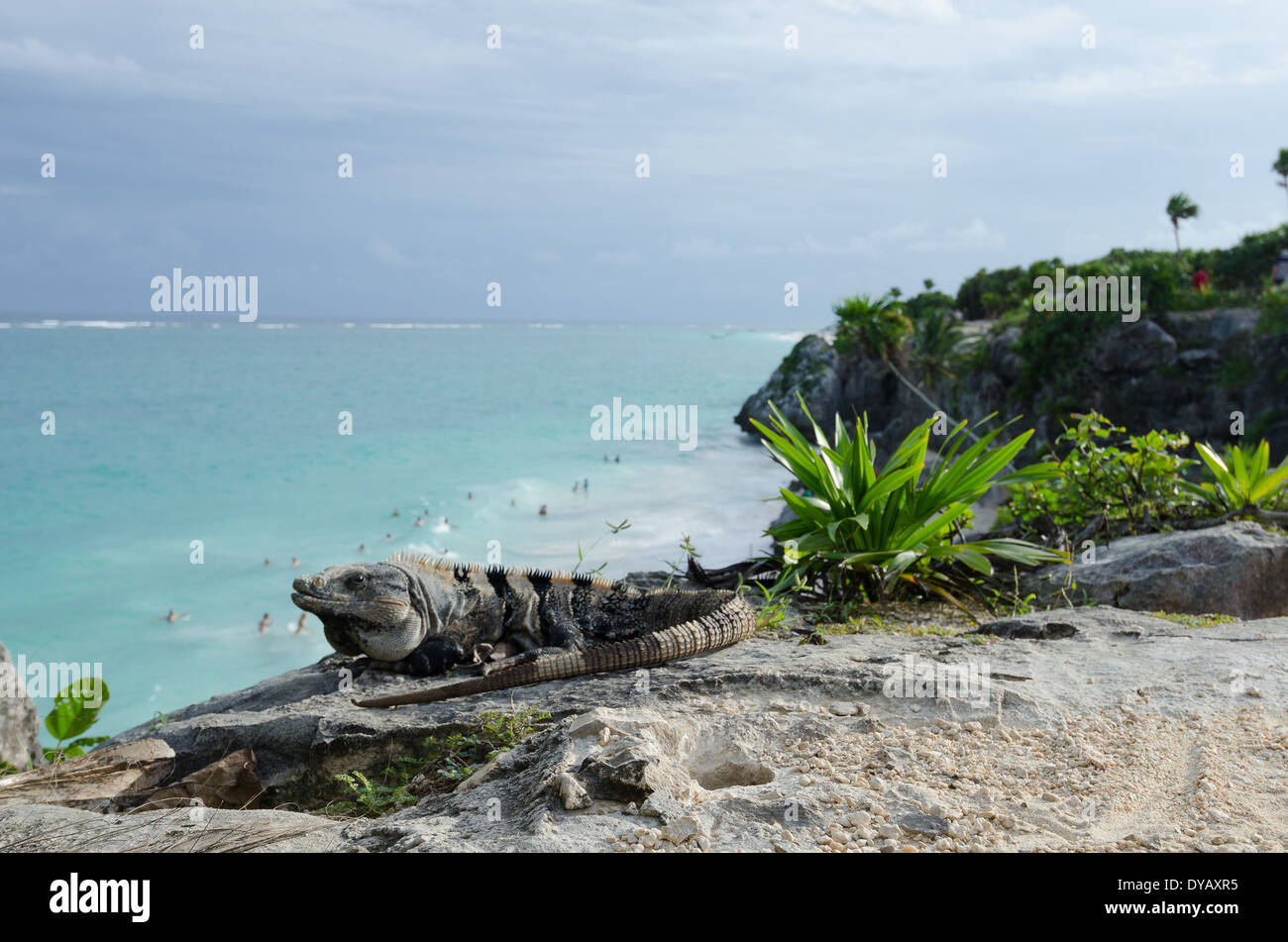 Maya-Stadt Tulum, Mexiko Stockfoto