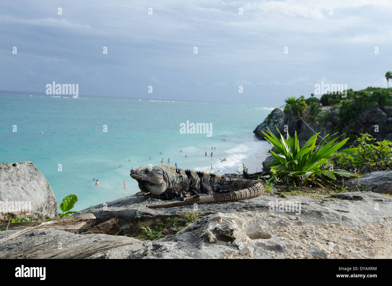 Maya-Stadt Tulum, Mexiko Stockfoto