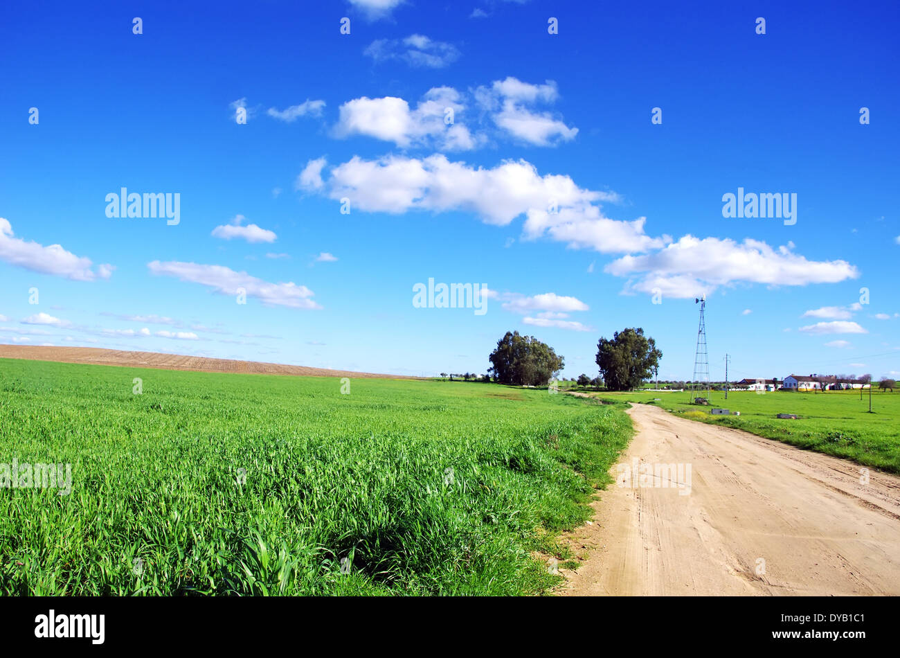 Landstraße im Weizenfeld und Bauernhof Stockfoto