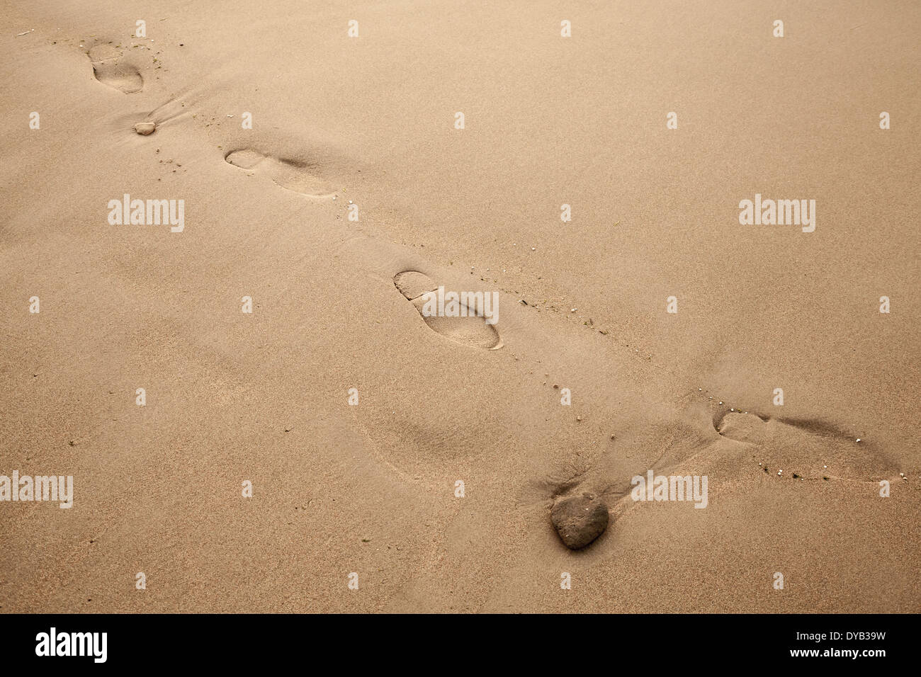 Fußabdrücke auf nassen Küsten Sand. Fotohintergrund Stockfoto