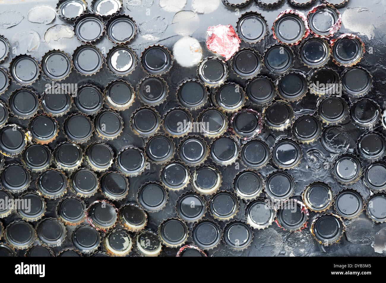 Beer Bottle Tops auf th Flügel einer Käfer Ratte auf dem Santa Pod Raceway England geklebt Stockfoto