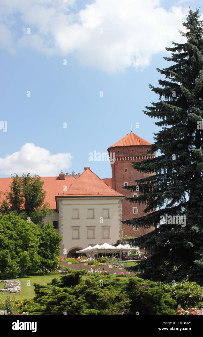 Turm der mittelalterlichen Burg Wawel in Krakau, Polen, Europa Stockfoto