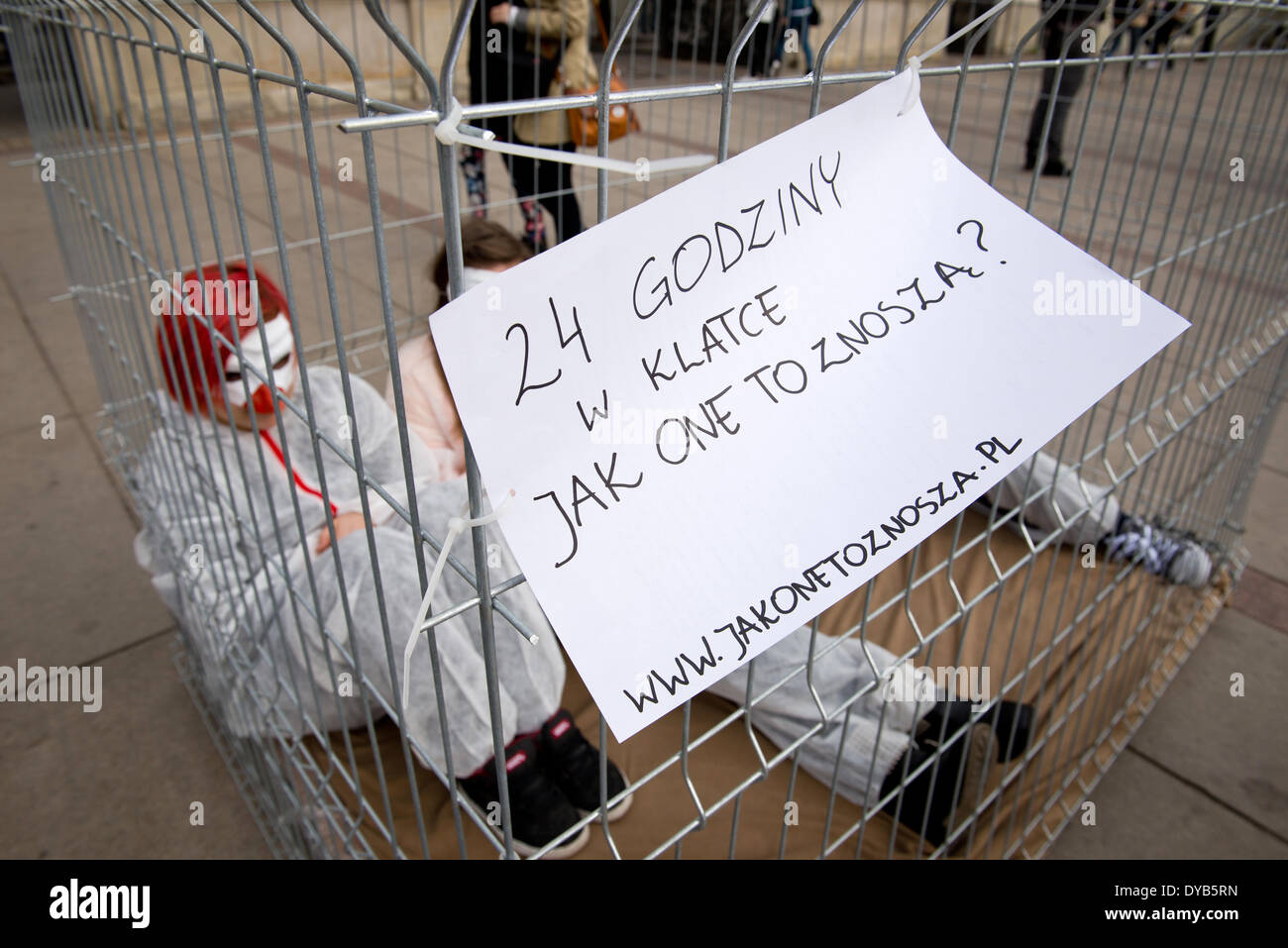 Warschau, Polen. 12. April 2014. Aktivisten von "Open Käfige" Organisation Proteste gegen Legebatterien Geflügel Landwirtschaft am 12. April in Warschau. Vier Personen wurden in Käfig für 24 Stunden gesperrt. Stockfoto