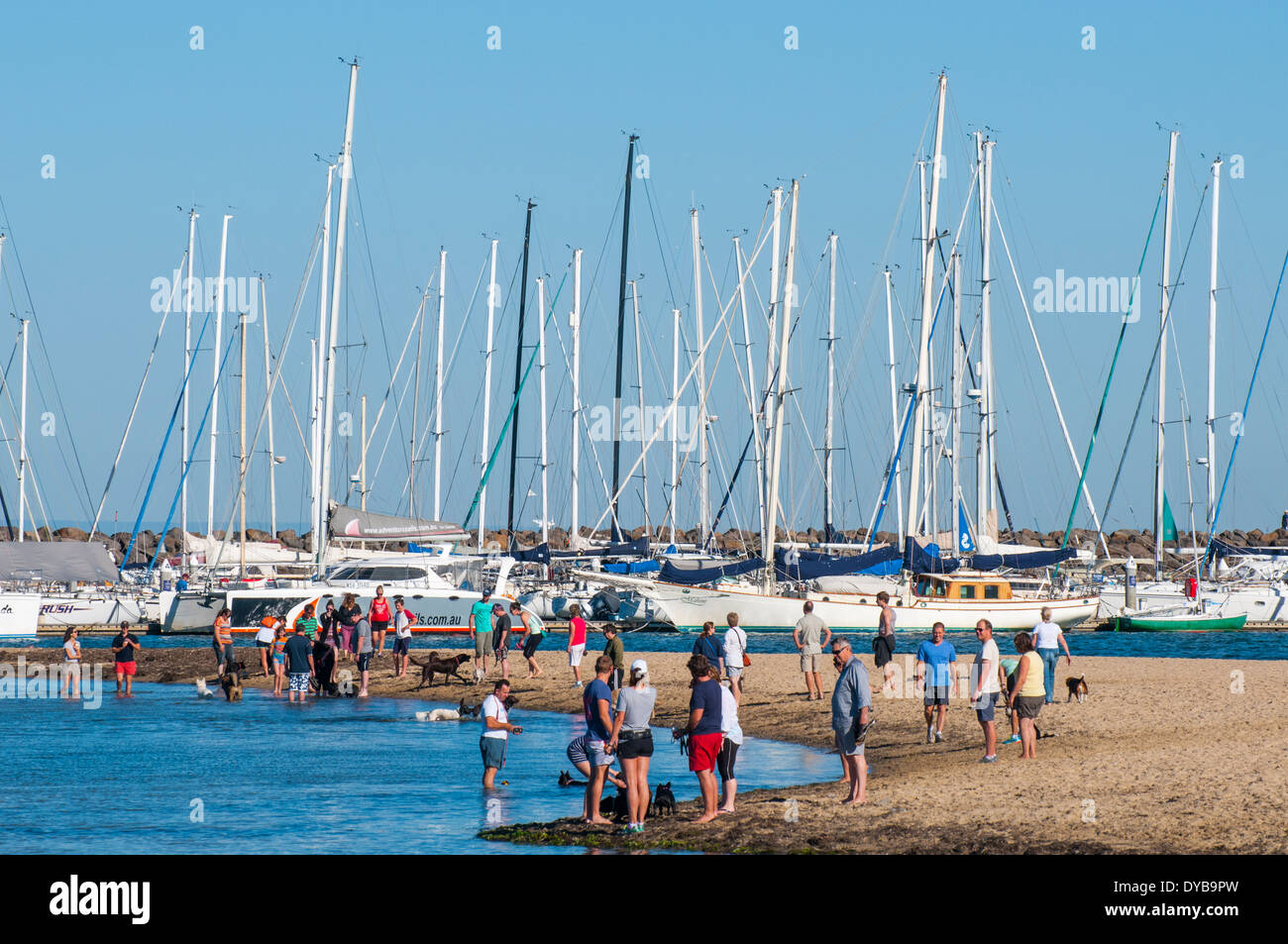 Hundebesitzer am Hund-walking Strand gegenüber der Brighton Marina, Melbourne, Victoria, Australien Stockfoto