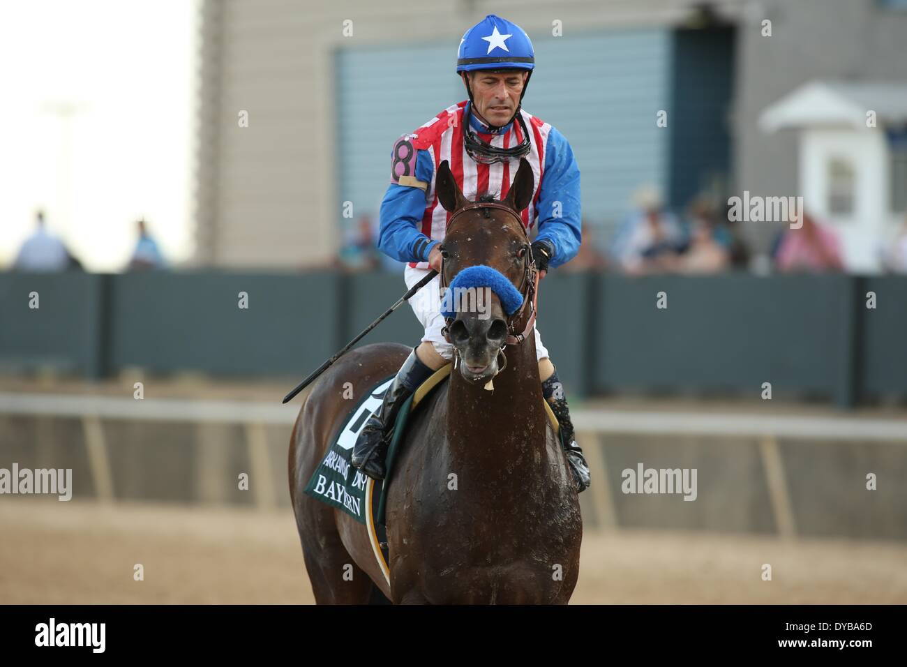 Hot Springs, AR, USA. 12. April 2014. 12. April 2014: #8 Bayern mit jockey Gary Stevens an Bord nach einem Drittel in den Betrieb des Arkansas Derby in Oaklawn Park in Hot Springs, AR. Justin Manning/ESW/CSM/Alamy Live News Stockfoto