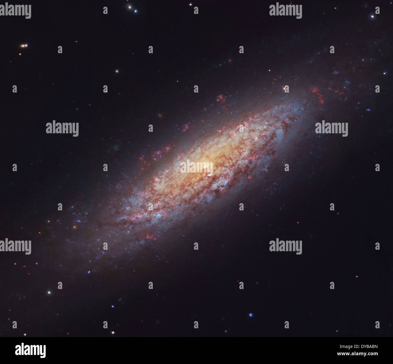 NGC 6503, Spiralgalaxie im Sternbild Draco. Stockfoto