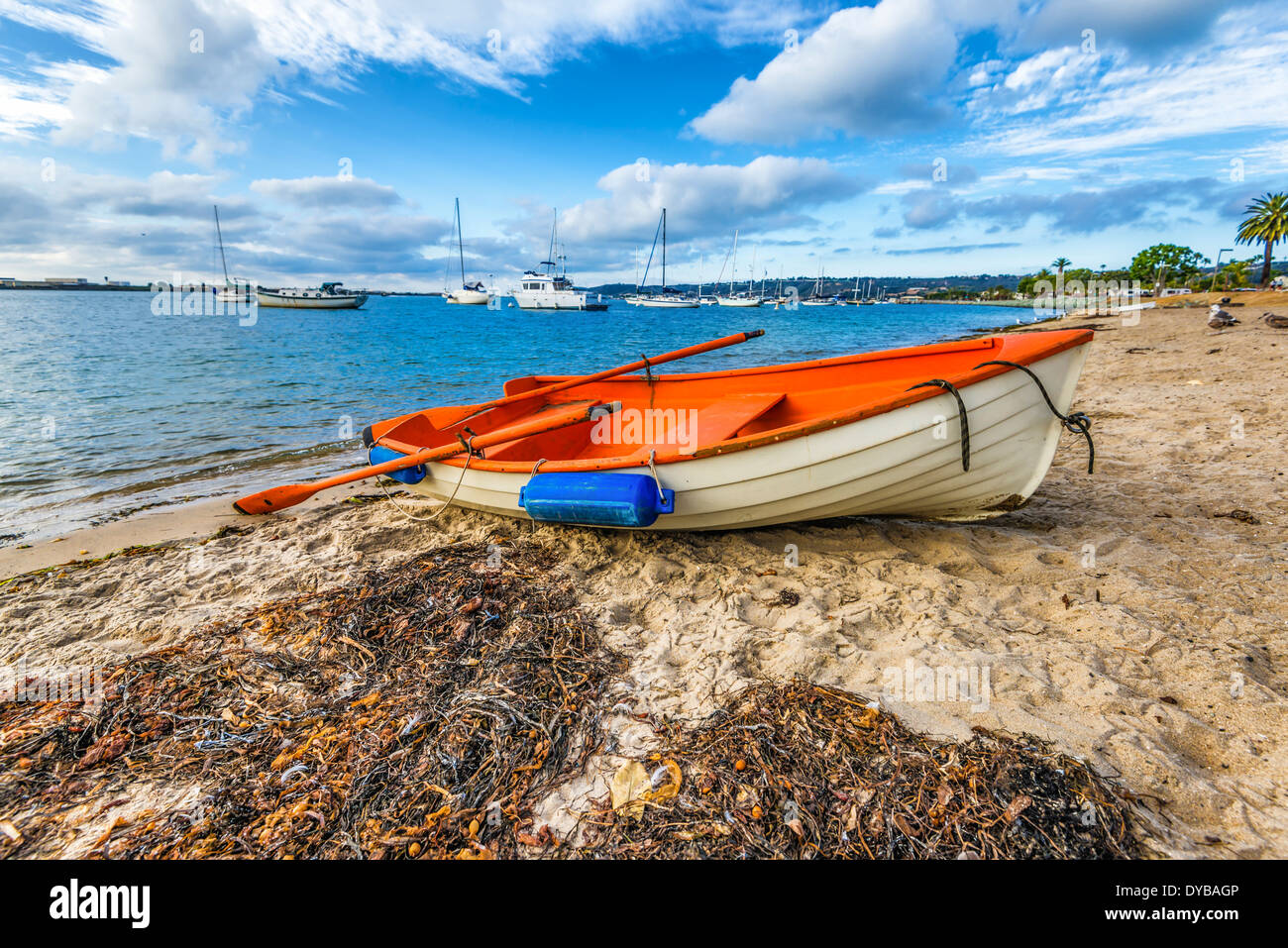 Boot vor Anker am Strand. Shelter Island Shoreline Park, San Diego, California, Vereinigte Staaten von Amerika. Stockfoto