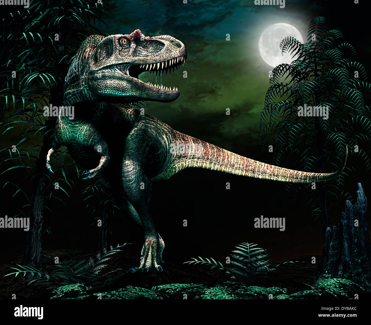 Albertosaurus jagt bei Mondschein. Stockfoto