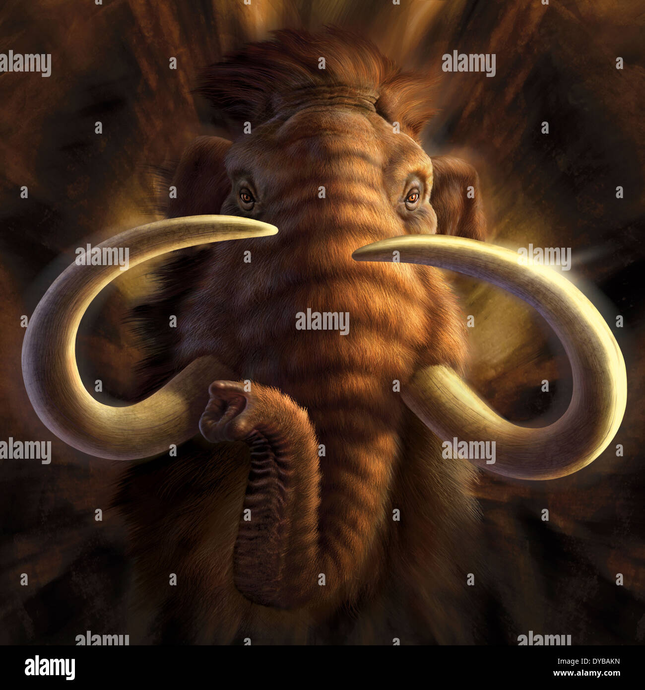 Mammut elfenbein -Fotos und -Bildmaterial in hoher Auflösung – Alamy