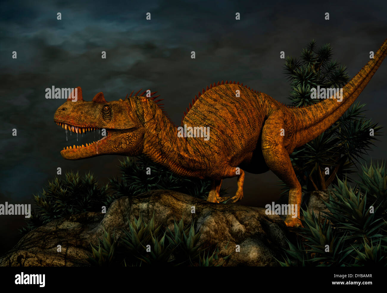 Ceratosaurus war eine große räuberische Dinosaurier aus der späten Jurazeit Stockfoto