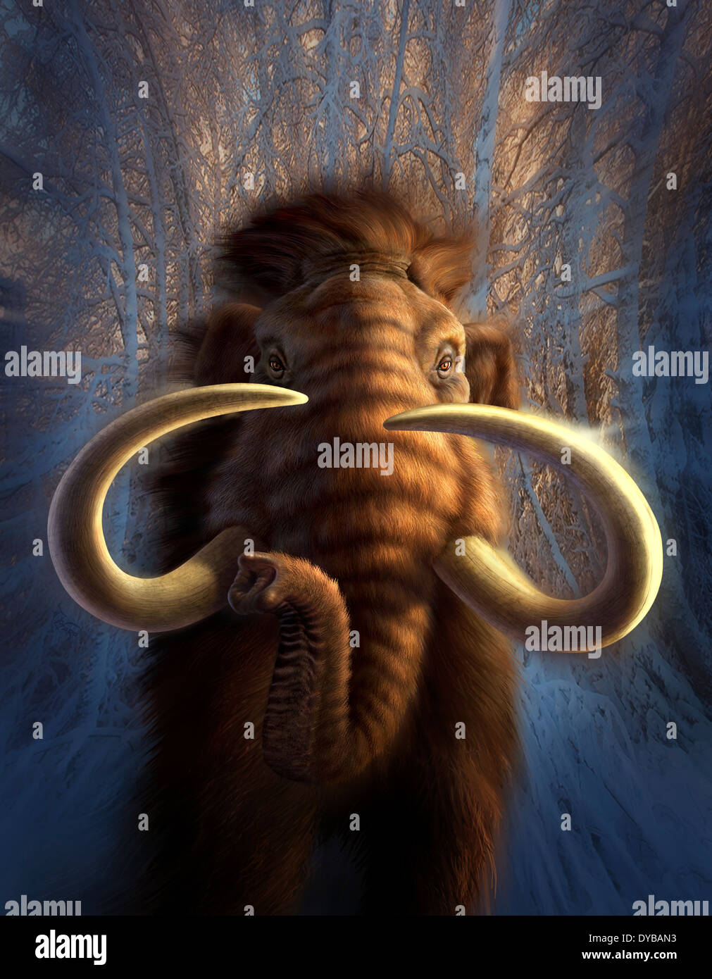 Mammutkopf -Fotos und -Bildmaterial in hoher Auflösung – Alamy