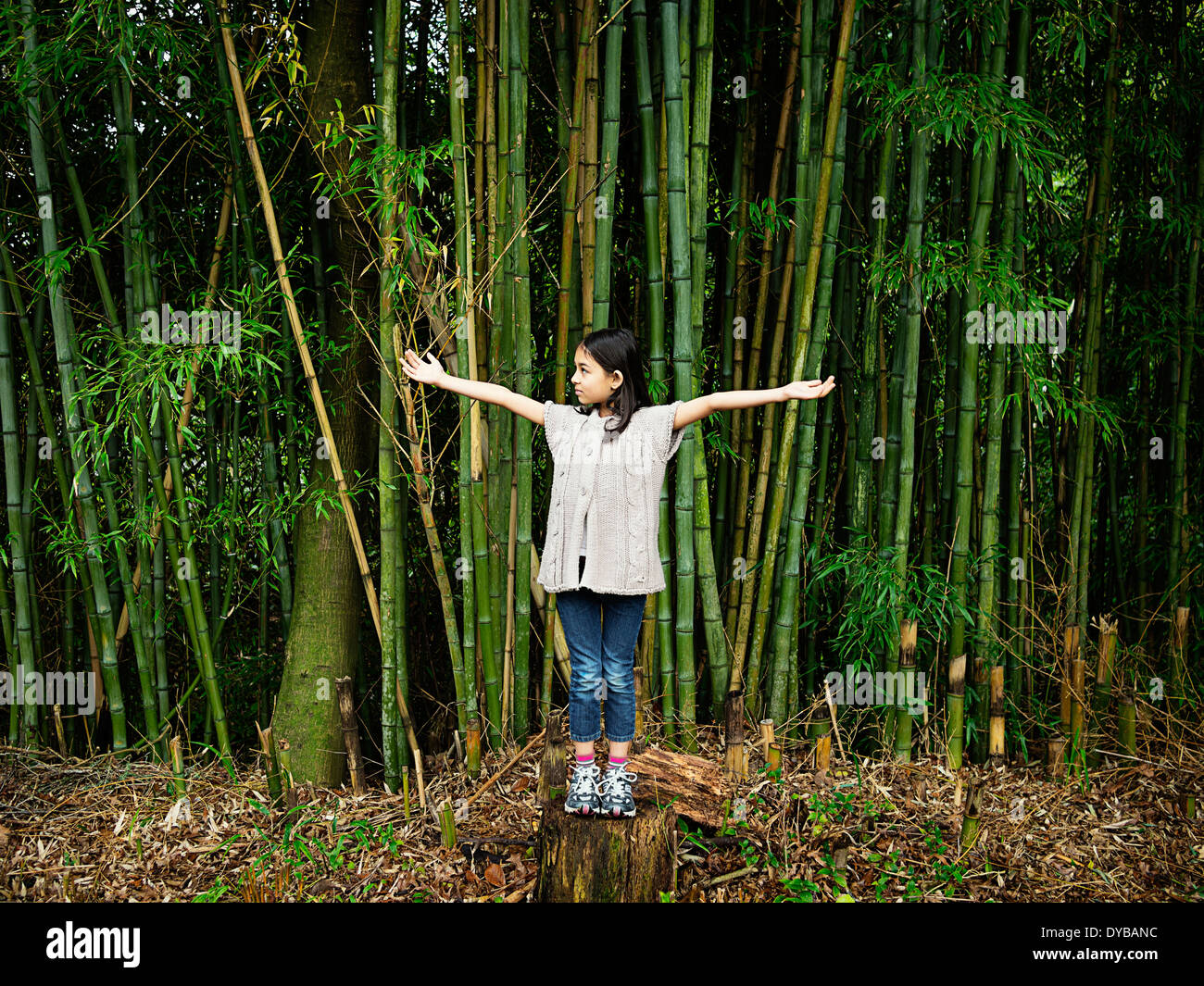 Mädchen steht auf Baumstumpf in Stand von Bambus Stockfoto