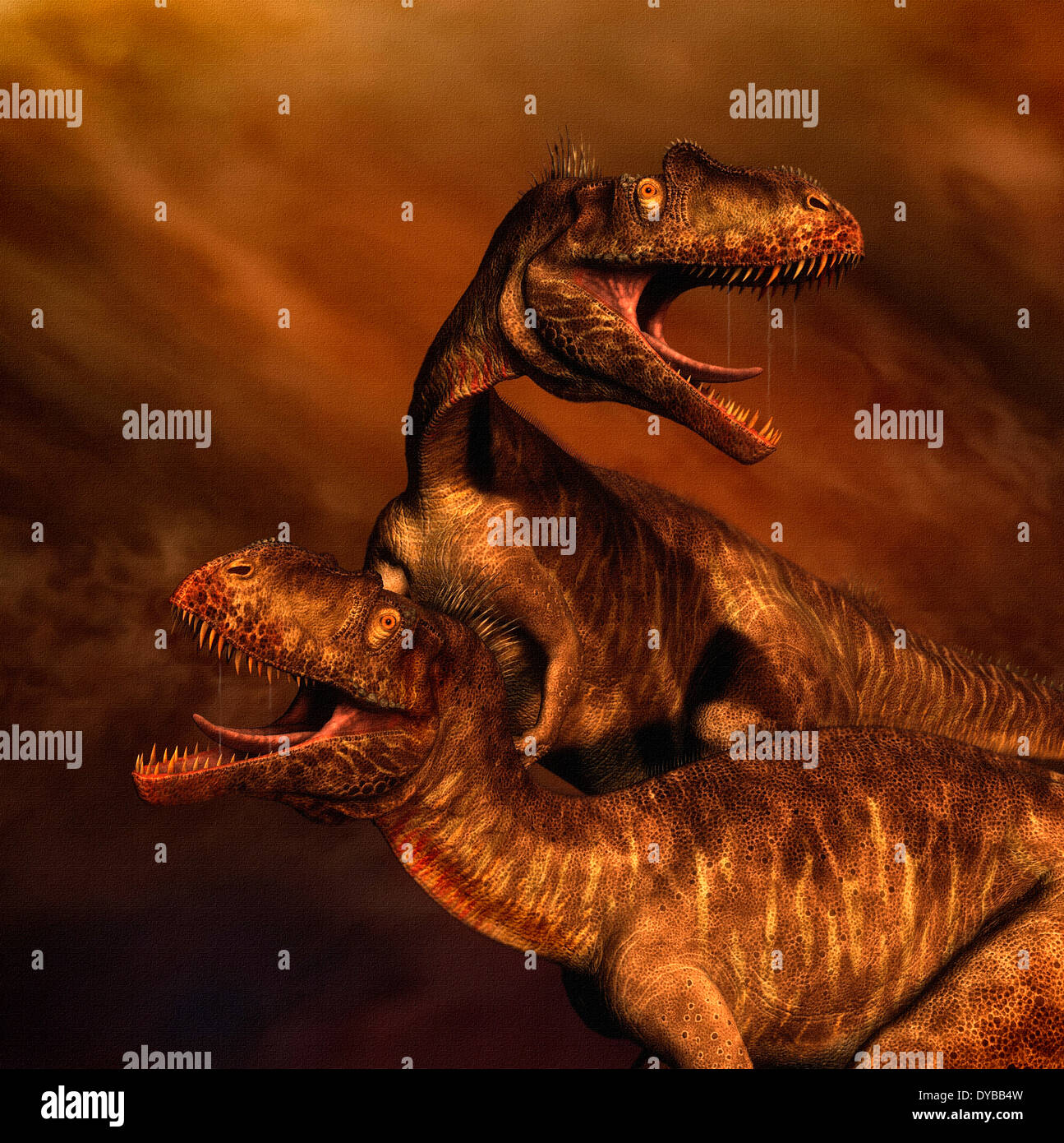 Porträt eines Paares von Megalosaurus Dinosaurier. Stockfoto