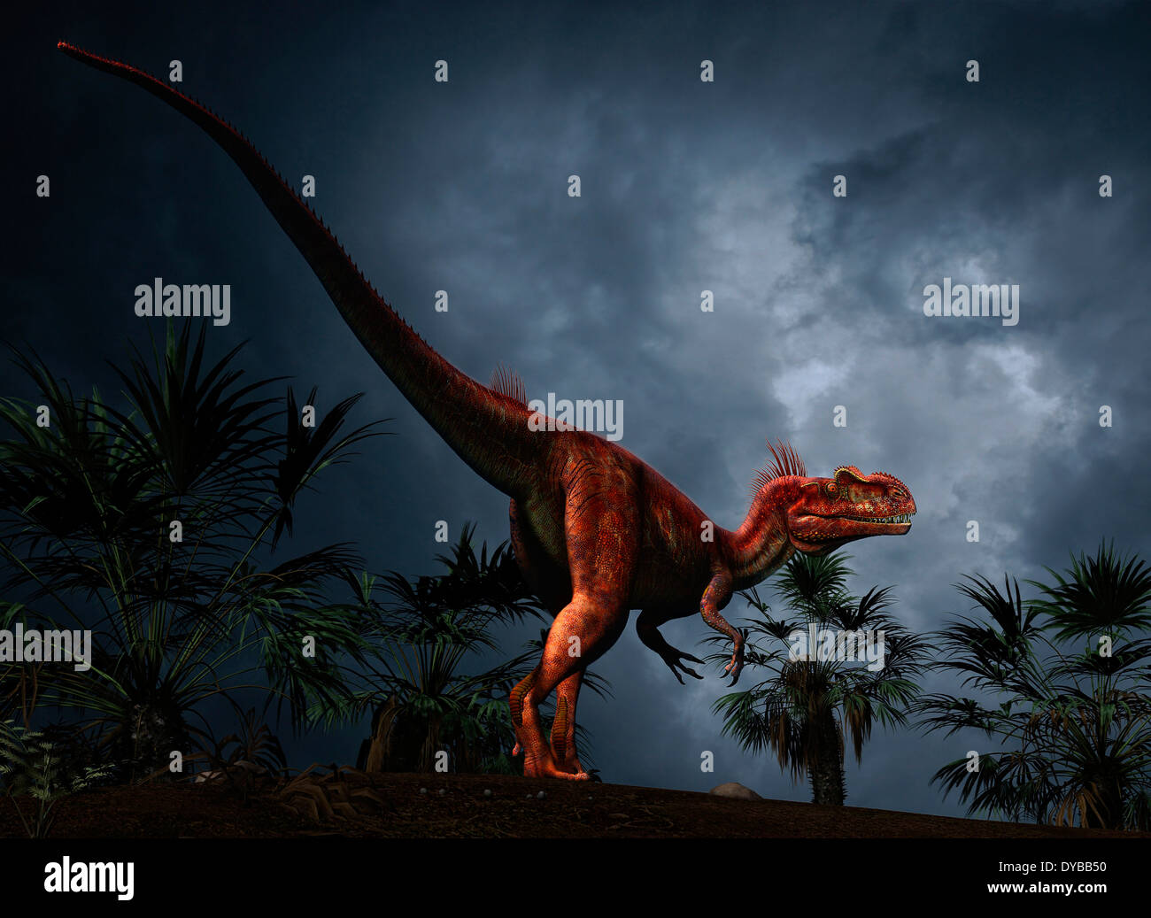Megalosaurus war eine große Fleisch fressenden theropode Dinosaurier von der mittleren Jurazeit 166 Millionen Jahren von Südengland. Stockfoto