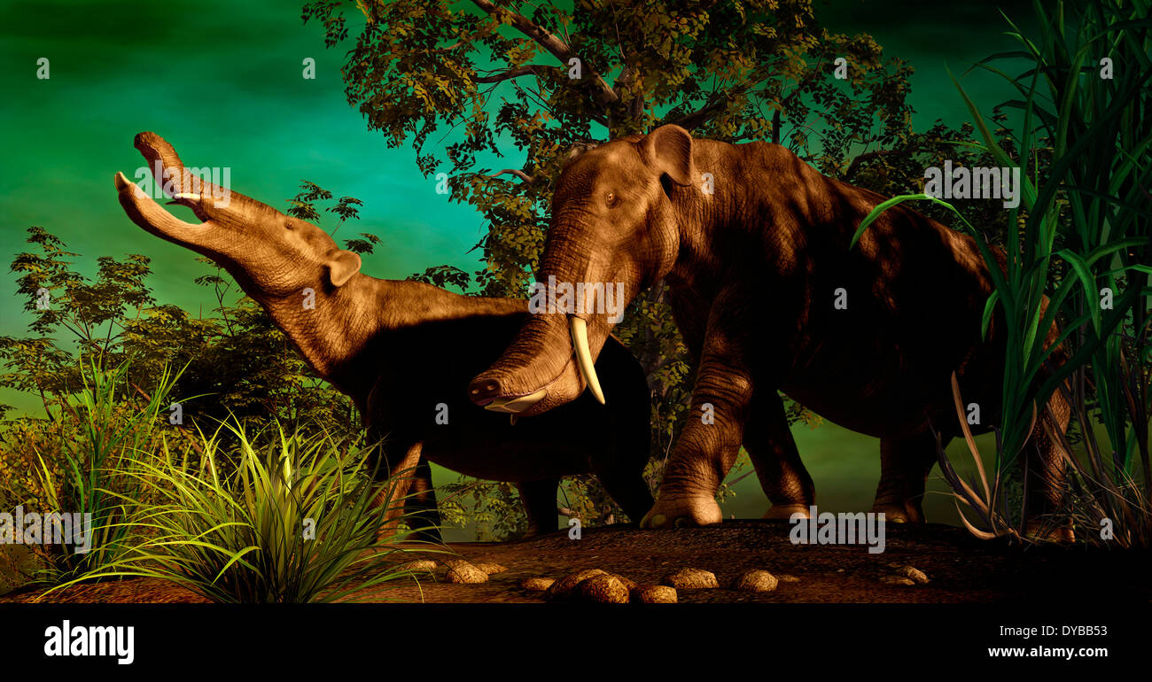 Platybelodon wurde eine große pflanzenfressende Säugetier, das während der Miocene Epoche lebten. Stockfoto