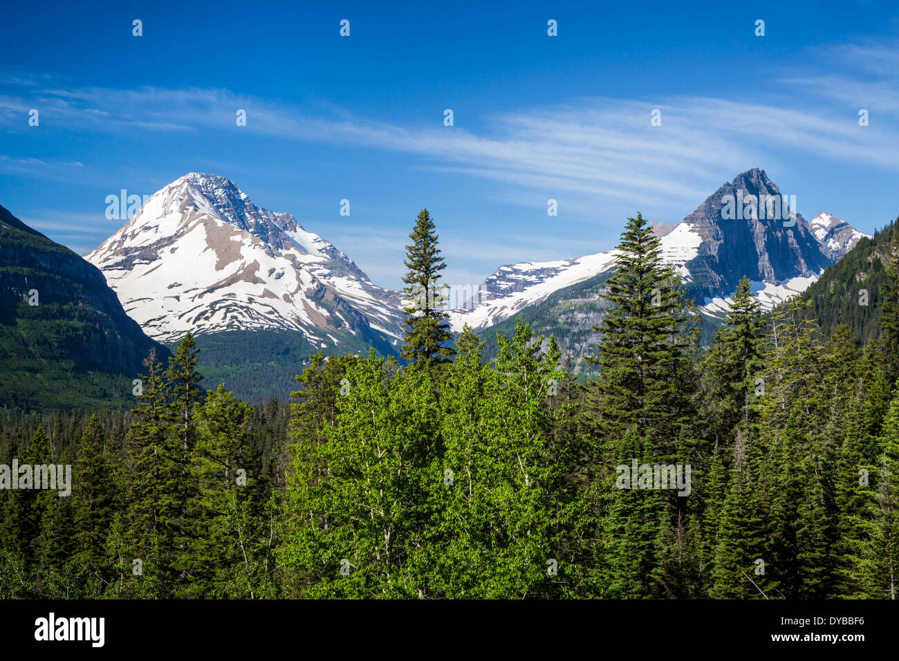 Alpine Landschaft in der Nähe von St. Mary Lake im Glacier National Park, Montana, USA. Stockfoto