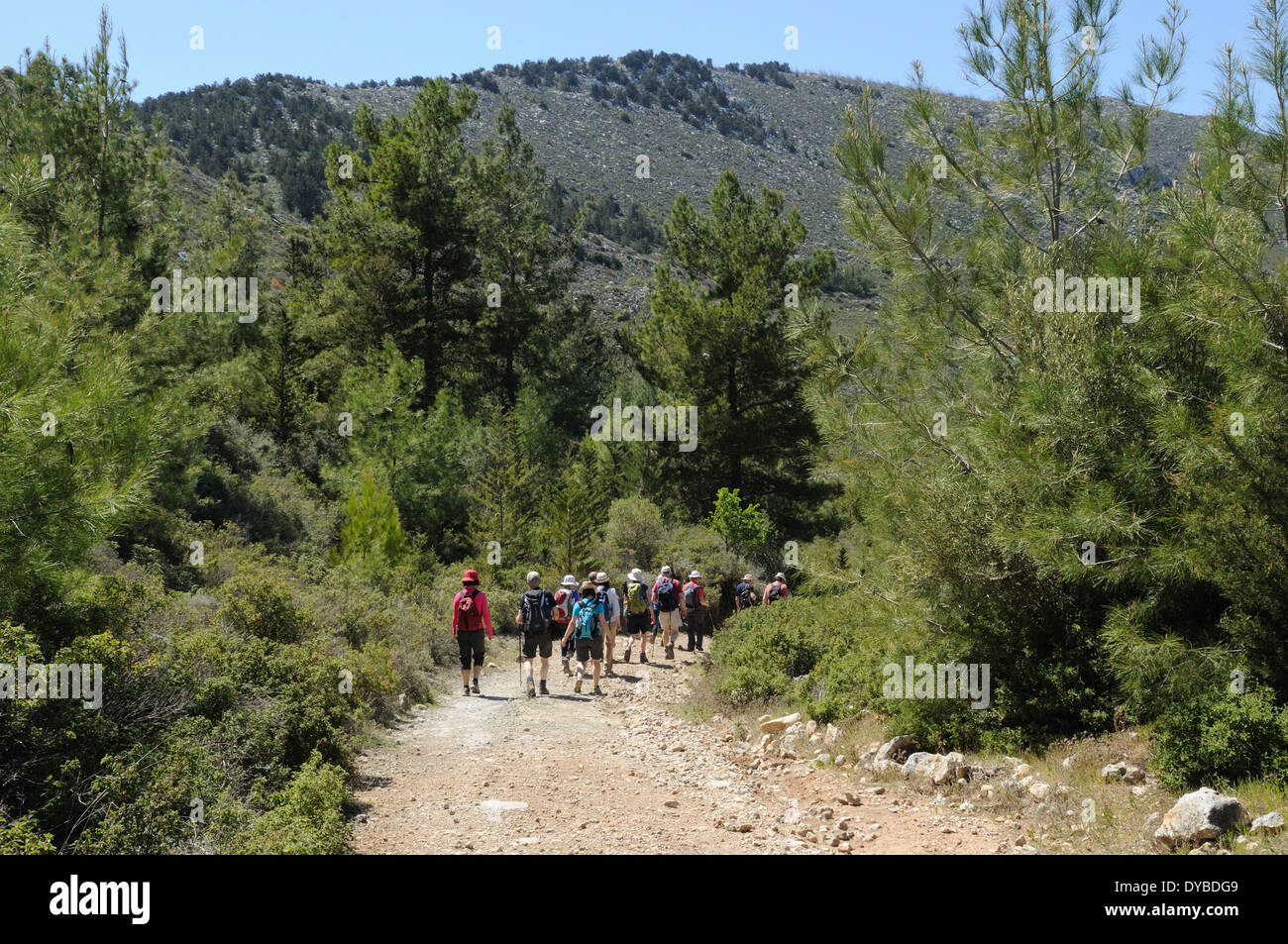 Wanderer auf einer der das alte Netz der Wege Besparmak Gebirge Nordzypern Stockfoto