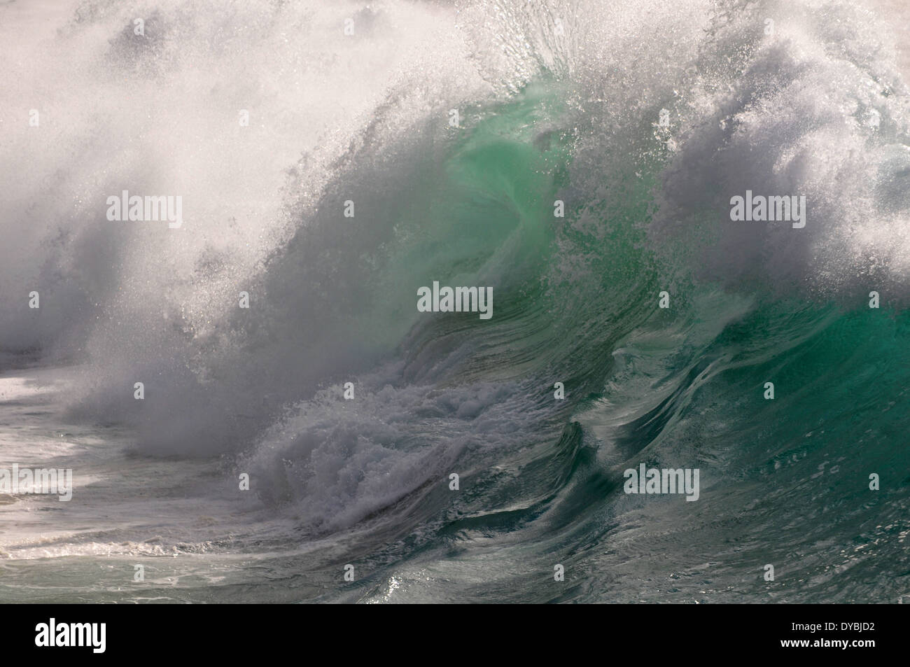 Riesige Wellen brechen in Waimea Bay Beach, North Shore, Oahu, Hawaii, USA Stockfoto