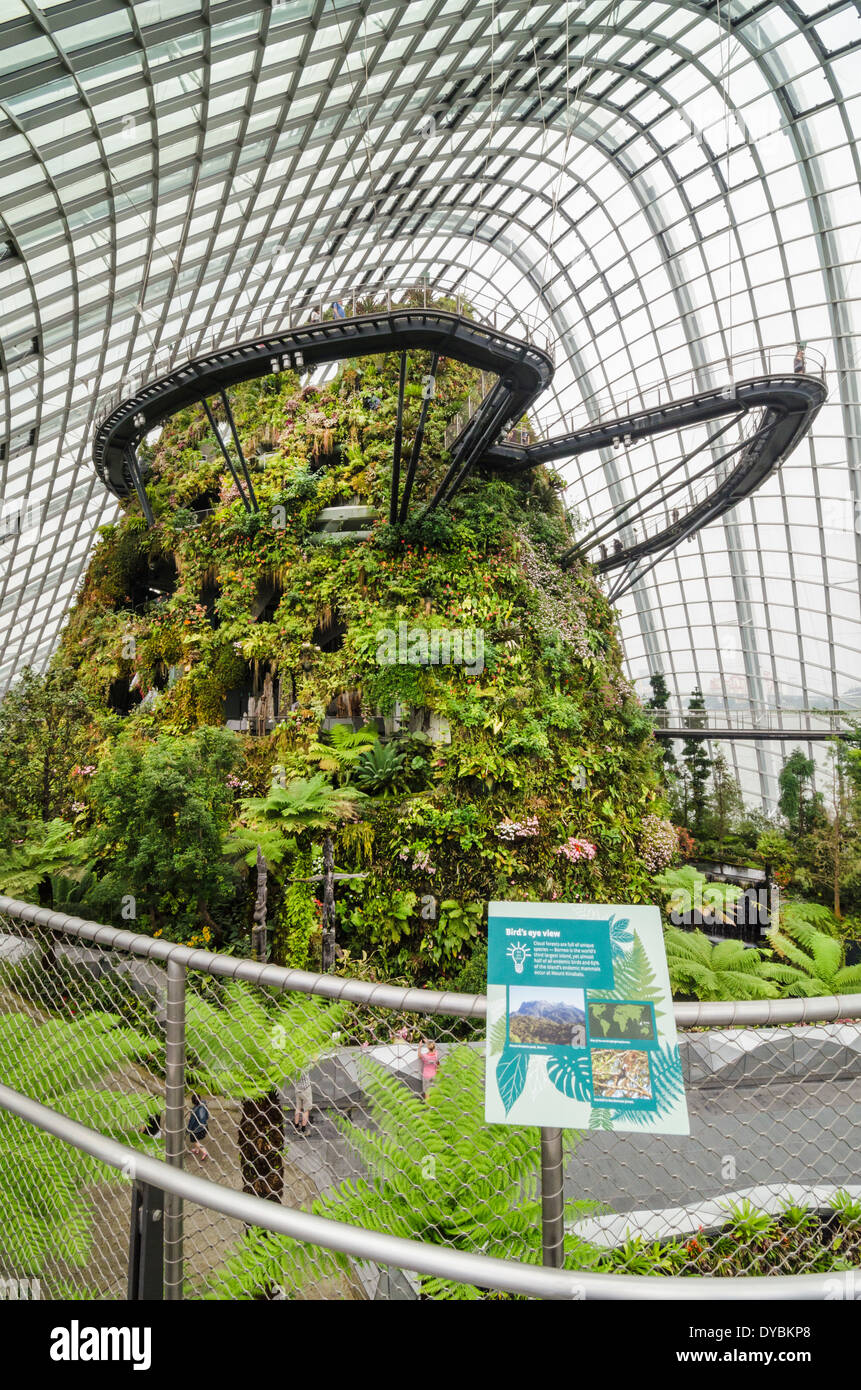 Blick auf die Cloud-Wanderung im Nebelwald Dome in Gardens by the Bay, Singapur Stockfoto
