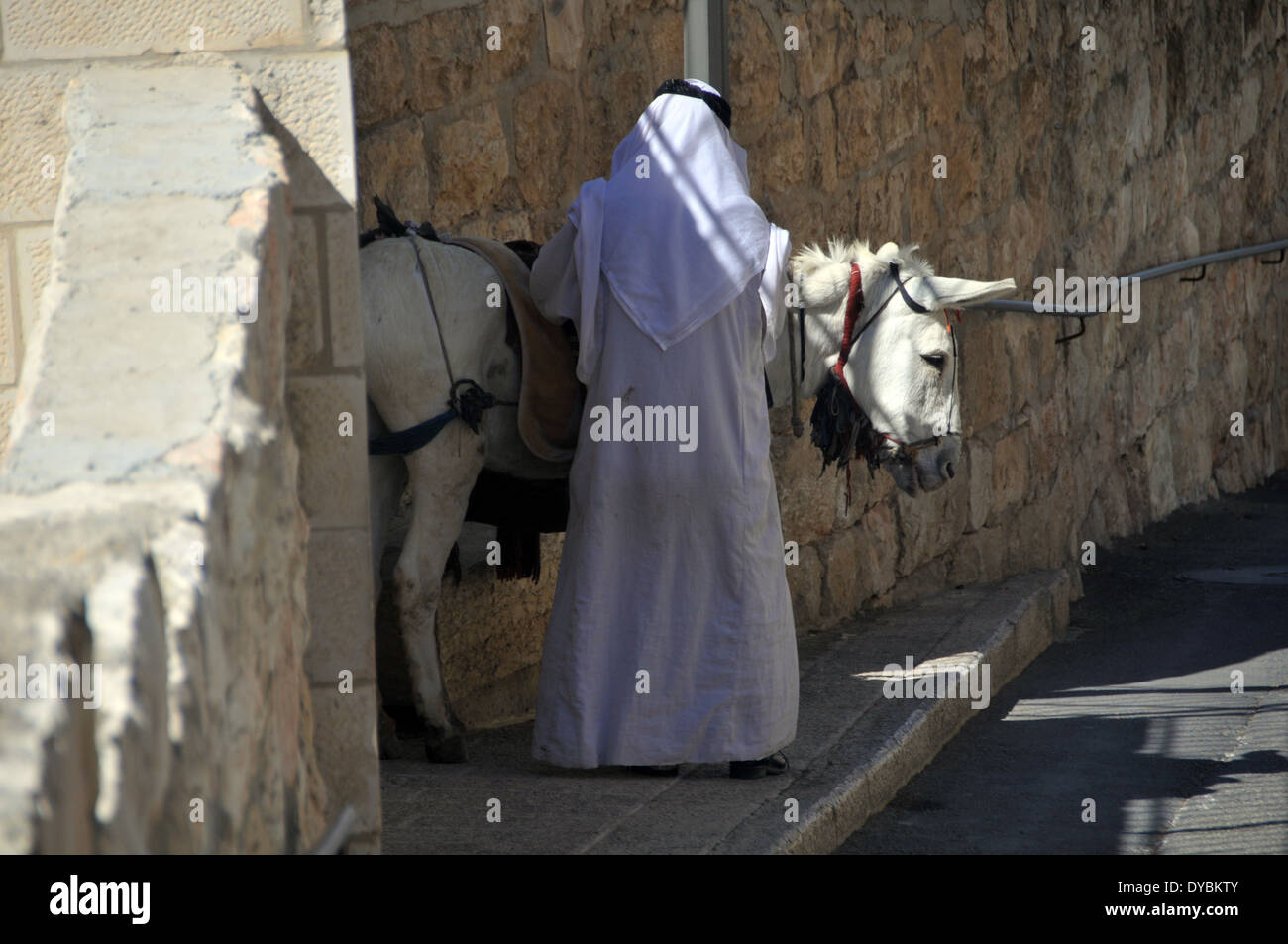 Mann in arabischen Tunika und Esel, Jerusalem, Israel Stockfoto