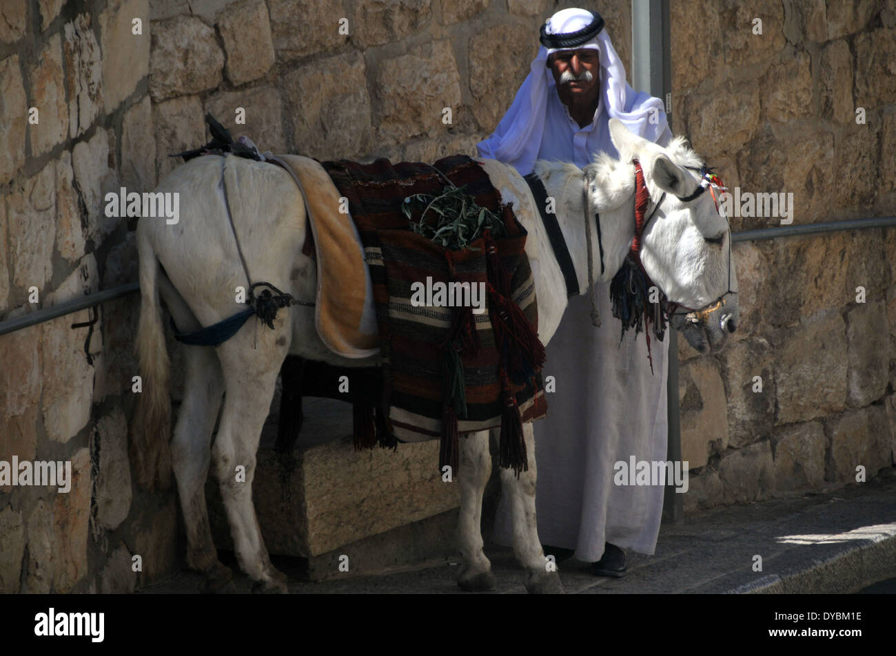 Mann in arabischen Tunika und Esel, Jerusalem, Israel Stockfoto